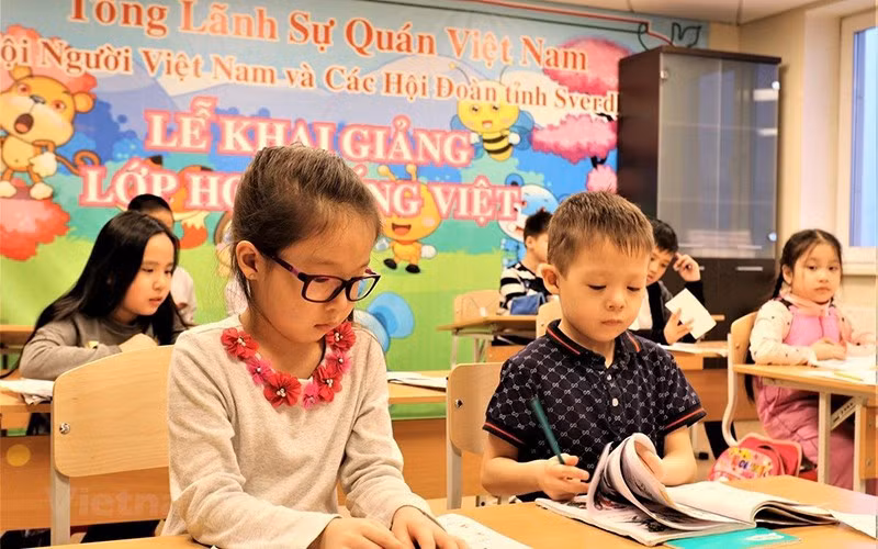 Le Plan d'action vise à promouvoir le travail à l'égard des Vietnamiens résidant à l'étranger ảnh 1