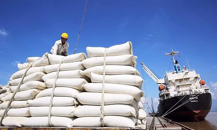 Les Philippines, premier importateur de riz vietnamien en neuf mois ảnh 1