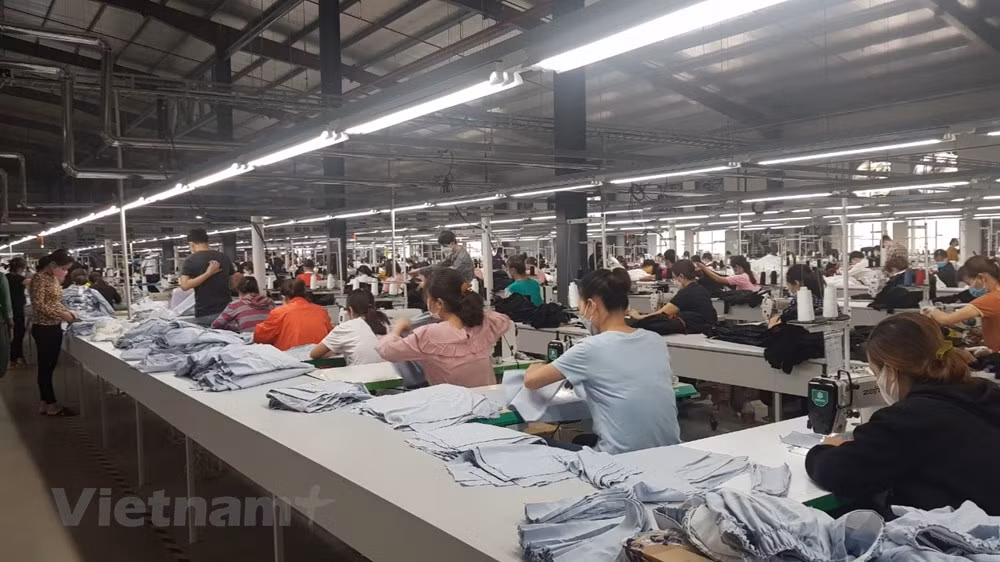 BM: le Vietnam figure parmi les économies d’Asie ayant la croissance la plus élevée ảnh 1