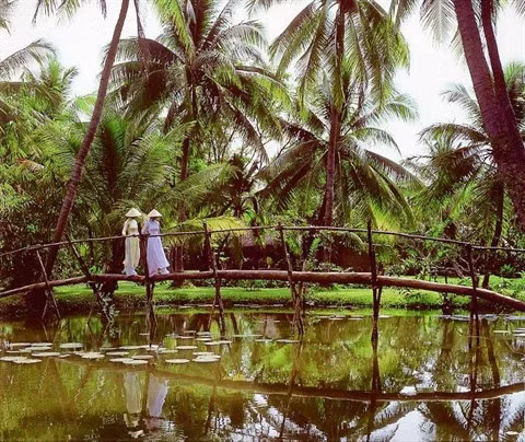 Pont de singe et tyrolienne commerçante, des inventions au service du quotidien ảnh 1