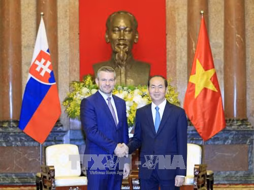 Le président Tran Dai Quang reçoit un vice-PM slovaque ảnh 1