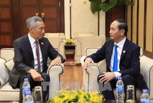 APEC 2017: le chef de l’Etat promet des conditions optimales pour les investisseurs singapouriens ảnh 1