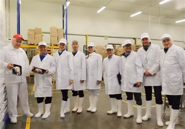 La province russe de Bryansk cherche un partenaire de jumelage au Vietnam ảnh 1