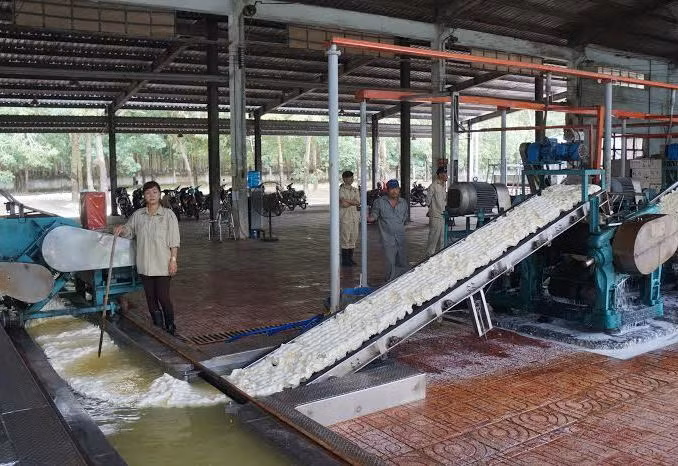 Tay Ninh attire plus de 5 milliards de dollars d’investissement au premier semestre ảnh 1