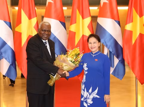 Le président de l’Assemblée nationale cubaine termine sa visite au Vietnam ảnh 1