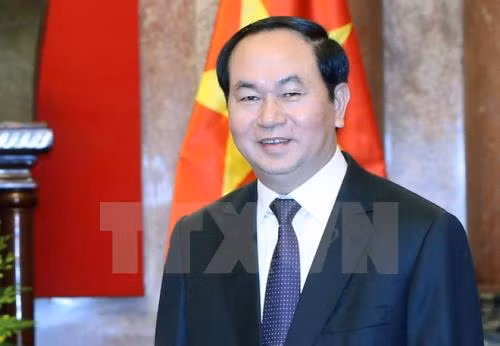 Le Vietnam fait grand cas de ses relations avec la Russie, dit le président Trân Dai Quang ảnh 1