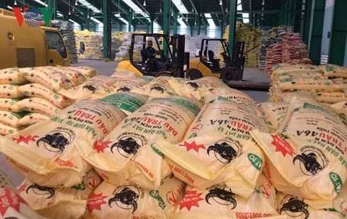 Mise en service d’une usine d’engrais de 500 milliards de dôngs à Ninh Binh ảnh 1