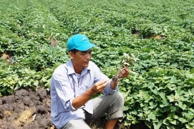 Distinction de 63 meilleurs paysans 2015 ảnh 1