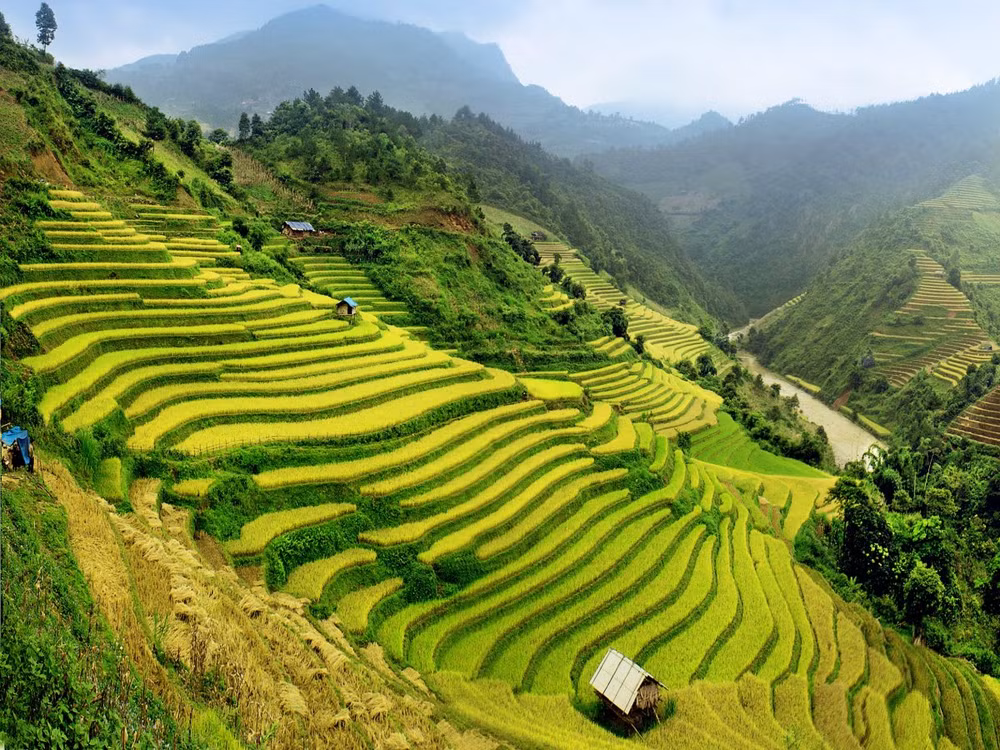 Le Vietnam, l’une des 20 premières destinations à visiter dans sa vie ảnh 1
