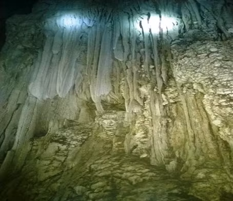 Découverte d’une nouvelle grotte à Phong Nha - Ke Bàng ảnh 1