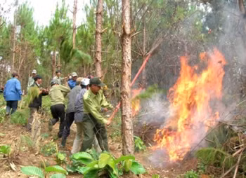 Aide pour la lutte contre les incendies de forêt ảnh 1