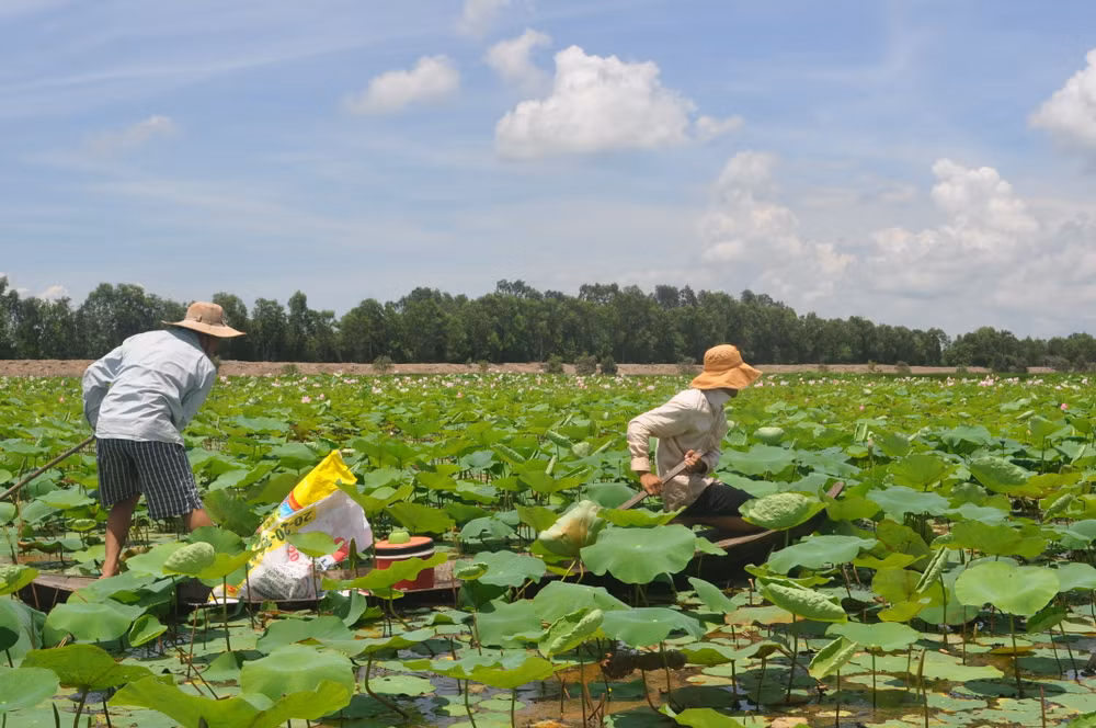 Plus de 18 millions de dollars pour préserver des zones humides ảnh 1