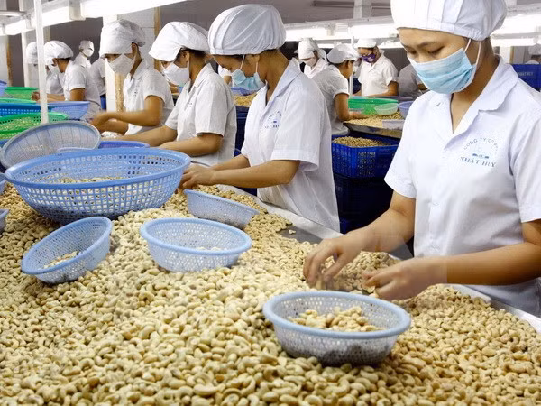 Séminaire sur les produits agricoles vietnamiens au Japon ảnh 1