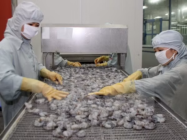 Crevettes: le Vietnam espère augmenter ses exportations aux Etats-Unis ảnh 1