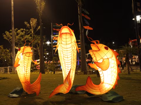 Mi-automne : à la découverte de la plus longue route des lanternes au Vietnam ảnh 2