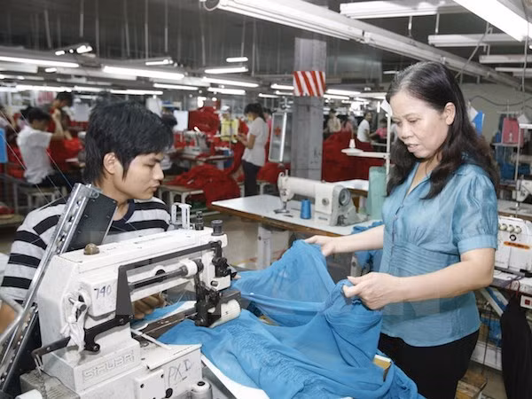 BAD : Les PME vietnamiennes ont besoin de plus de fonds ảnh 1