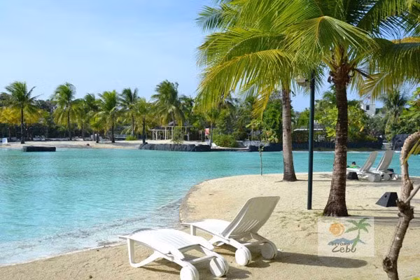 Ouverture de la conférence des ministres des Finances de l'APEC aux Philippines ảnh 1