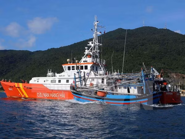 Le Vietnam enquête sur le naufrage d’un bateau de Binh Dinh ảnh 1