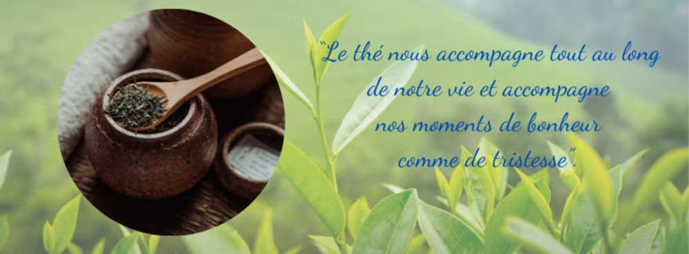 Bill Gates découvre la culture du thé vietnamienne sur le mont Bàn Co ảnh 4