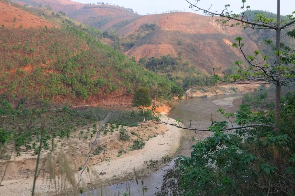 Le Vietnam possède environ 14,86 millions d'hectares de forêts ảnh 1