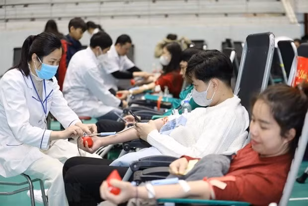 Ha Nam collecte plus de 6.000 unités de sang lors de la Fête du Printemps Rouge ảnh 1