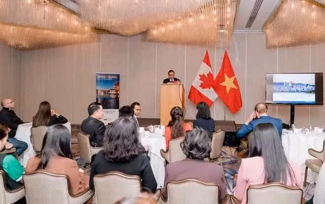 Le Vietnam et le Canada renforcent leurs relations commerciales et d'investissement ảnh 1 Le Vietnam et le Canada renforcent leurs relations commerciales et d'investissement ảnh 1