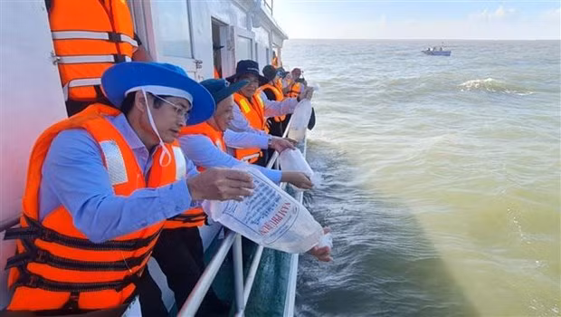 Bac Lieu lâche plus de 6 millions d'alevins de crevettes pour régénérer les ressources aquatiques ảnh 1