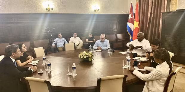 Resserrer la solidarité entre Cuba et le Vietnam ảnh 1