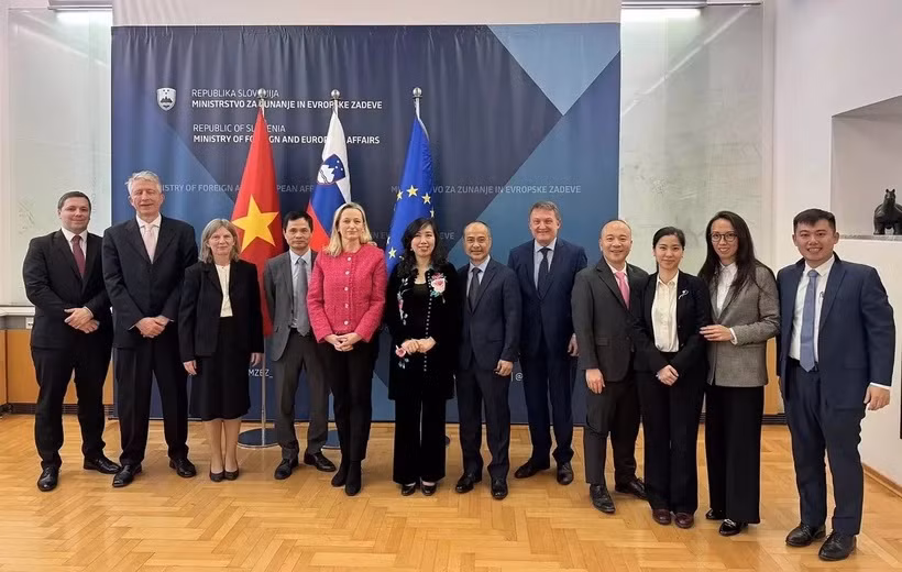 Le Vietnam chérit ses liens avec la Slovénie ảnh 1