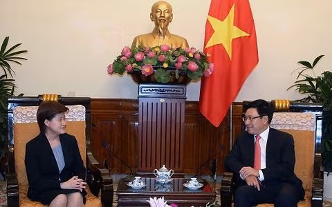 Le vice-Premier ministre Pham Binh Minh reçoit l’ambassadeur singapourien ảnh 1