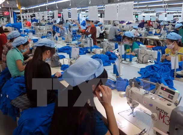 ALE Vietnam-Union économique eurasienne : 5.000 lignes tarifaires seront supprimées ảnh 1