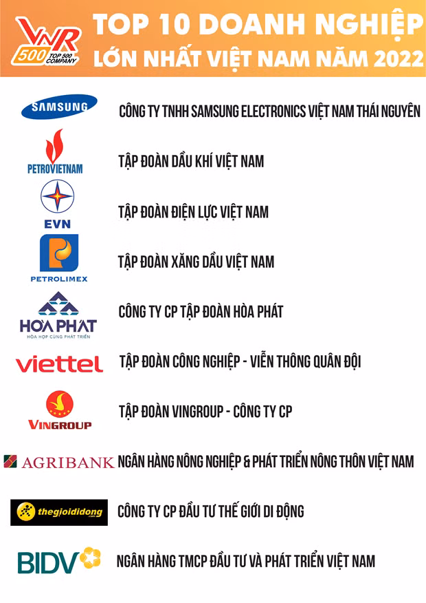 Le top 500 des plus grandes entreprises du Vietnam en 2022 dévoilé ảnh 1