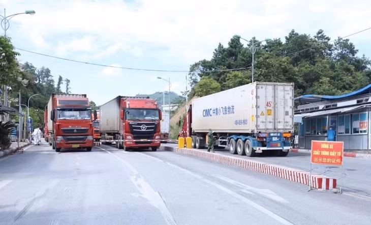 L’exportation de produits agricoles démarre fort via les postes-frontières de Lang Son ảnh 1