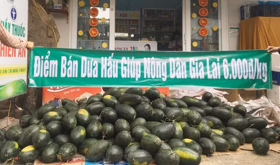 COVID-19 : la R de Corée soutient la consommation des produits agricoles vietnamiens ảnh 1