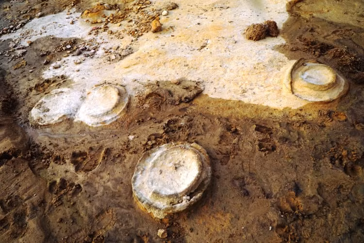Découverte de traces d'ammonites fossilisées datées environ 200 millions d’années à Gia Lai ảnh 1
