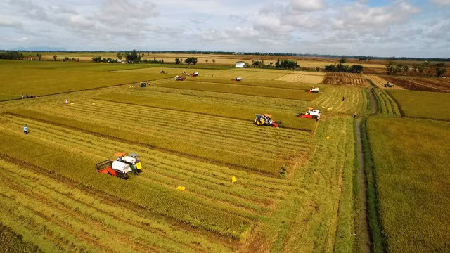 Agriculture : le Vietnam ambitionne de figurer parmi les 15 pays les plus développés du monde ảnh 1