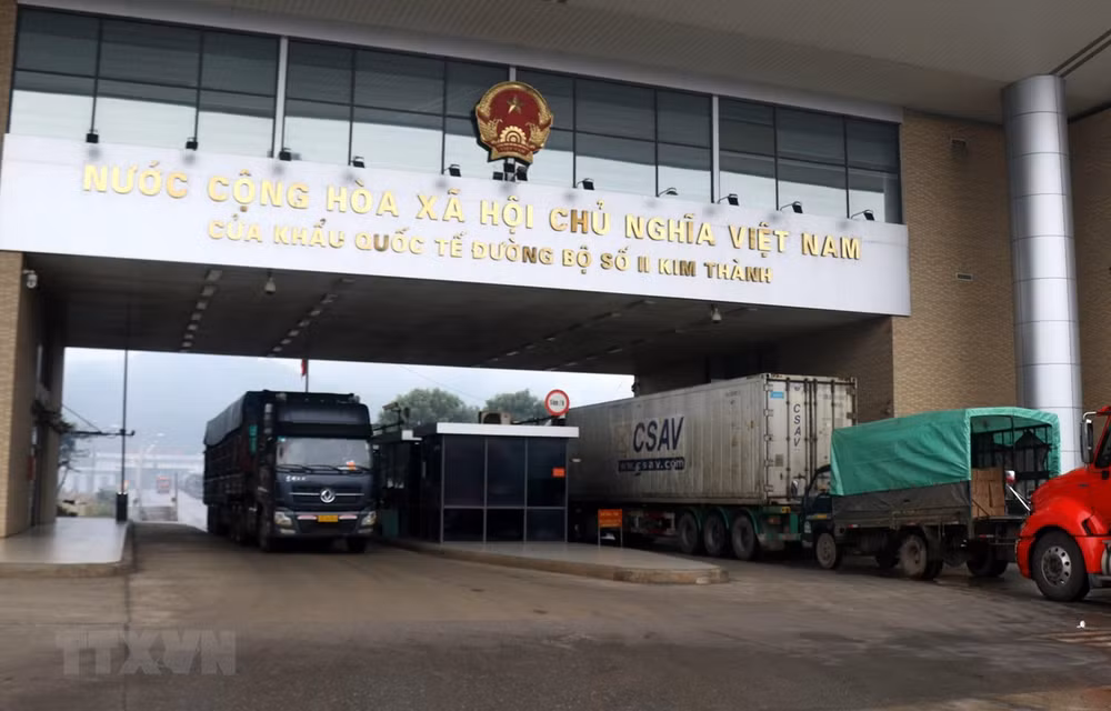 COVID-19 : pas d’activités d’import-export supplémentaires aux portes frontalières ảnh 1