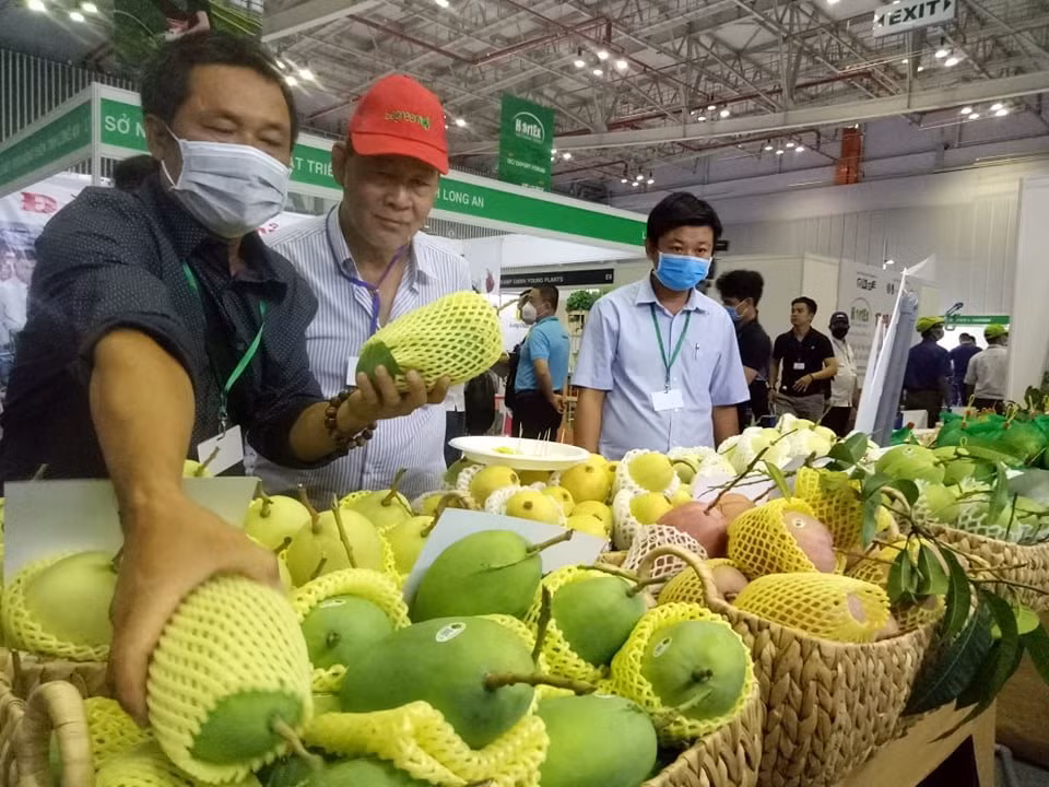 Diversification des marchés à l’export des fruits et légumes ảnh 1