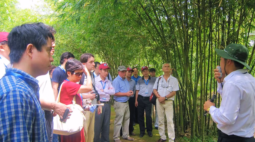 Coronavirus : Quang Tri et Vinh Phuc renforcent les mesures préventives ảnh 1