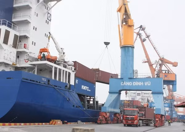 Vinalines coopère avec la Belgique dans l'industrie portuaire et logistique ảnh 1