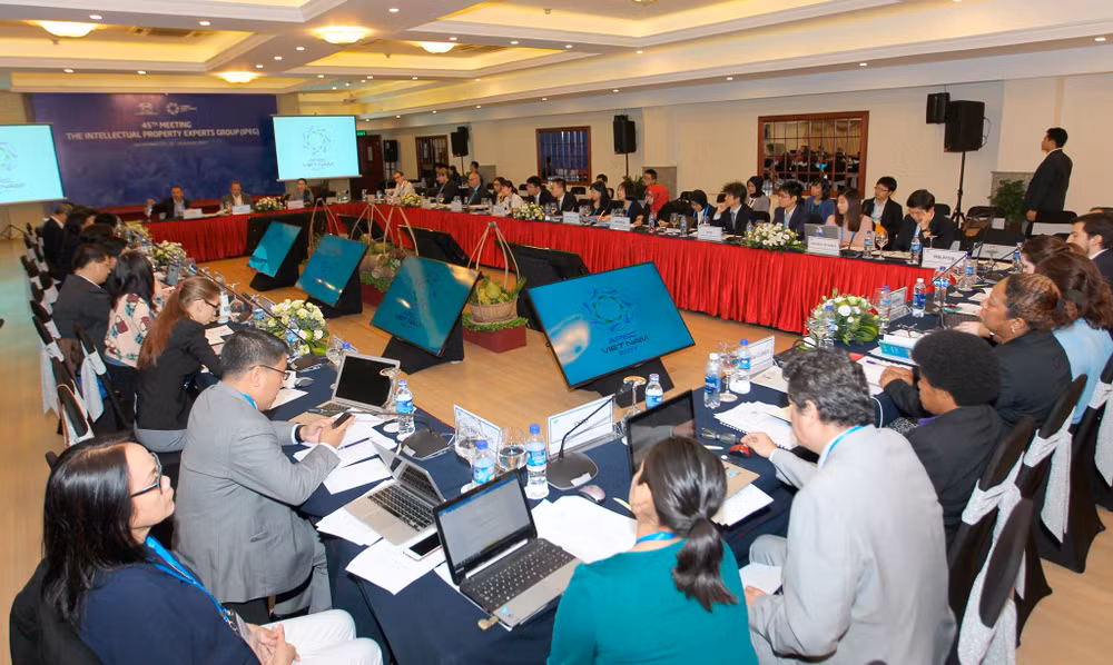 APEC 2017 : La 6e journée de la SOM3 et des réunions connexes ảnh 1