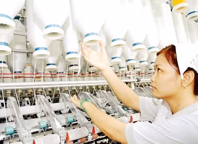 Textile et chaussure: hausse de 90% des exportations de matières premières vers la France ảnh 1