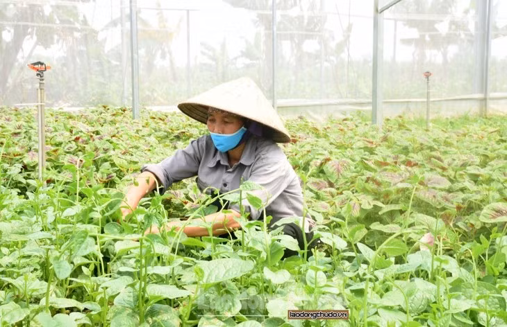 Des agriculteurs innovants à l’ère de la révolution 4.0 ảnh 1