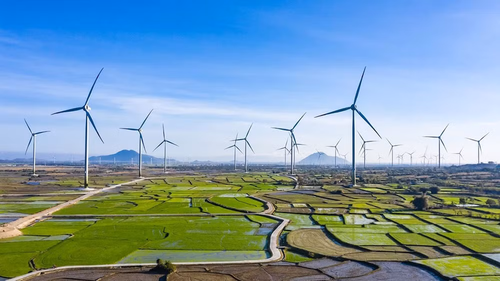 Réduire la part de l’électricité au charbon et de l’hydroélectricité pour l’énergie solaire ảnh 1