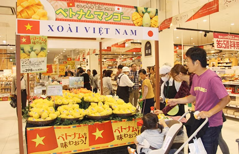 Les produits vietnamiens s’intègrent dans des réseaux de distribution étrangers ảnh 1