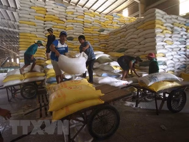 Le Vietnam exporte 4,5 millions de tonnes de riz en huit mois ảnh 1