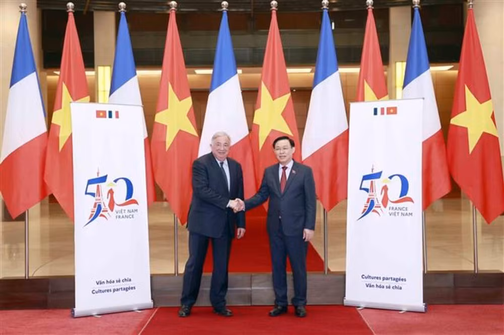 Entre le Vietnam et la France, un demi-siècle d’amitié ảnh 2