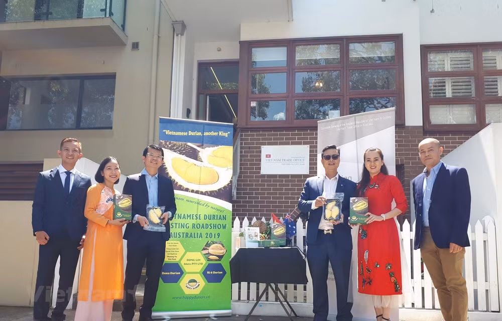 Une tournée de dégustation de durian vietnamien en Australie ảnh 1