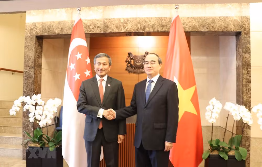 Ho Chi Minh-Ville accélère la coopération intégrale avec Singapour ảnh 1