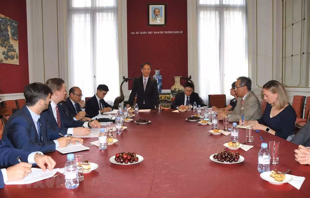 Vietnam et UE s'efforcent de parvenir au plus tôt à la signature de l'EVFTA ảnh 1